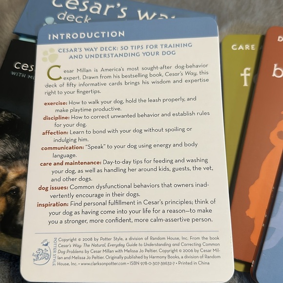 Caesars Way deck tips for training and understanding your dog - Picture 4 of 5